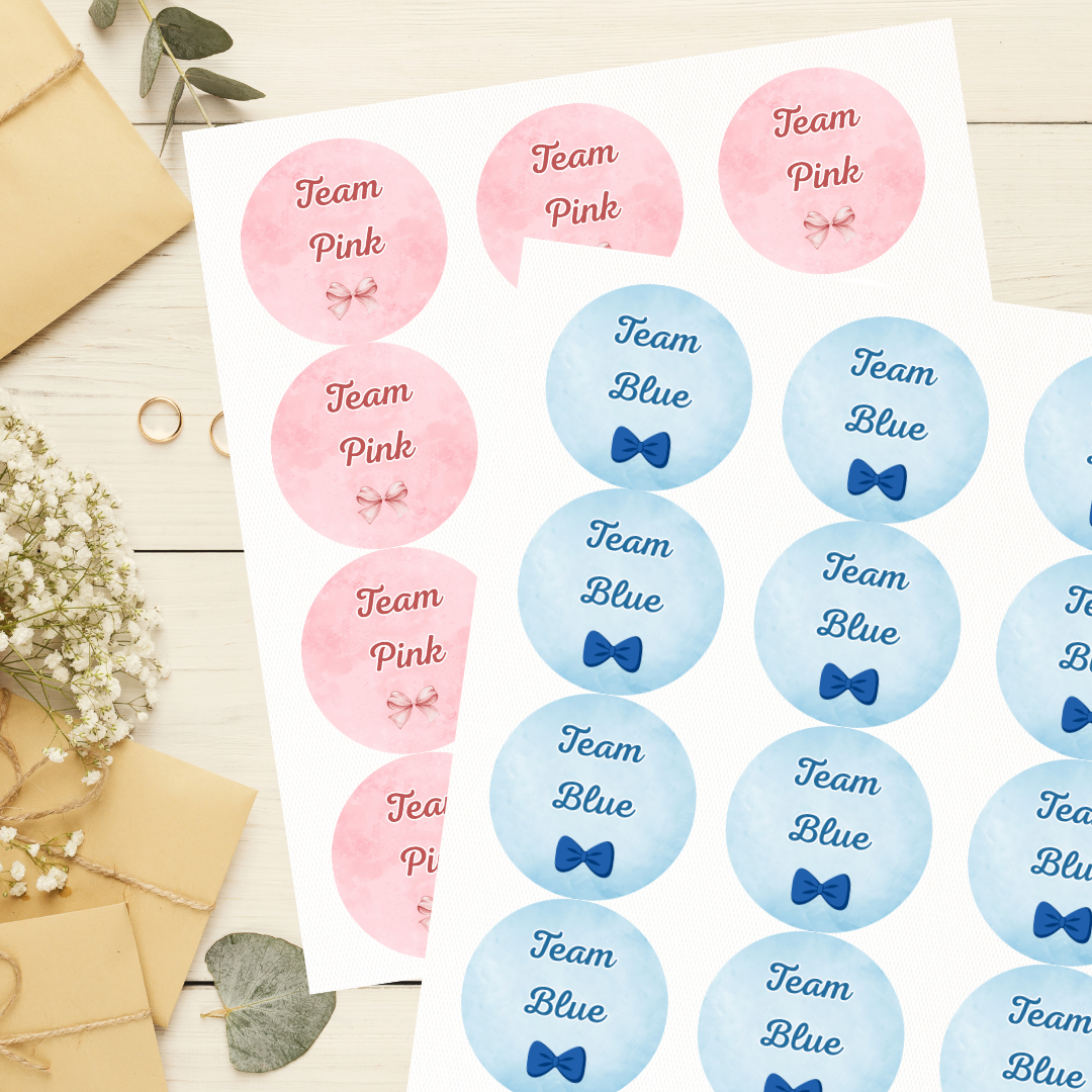 Team Pink Team Blue Baby Shower Gender Reveal Stickers