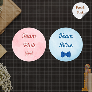 Team Pink Team Blue Baby Shower Gender Reveal Stickers