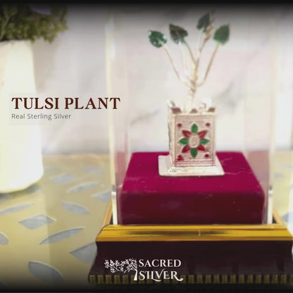 Tulsi Real Silver Tree for Gifting